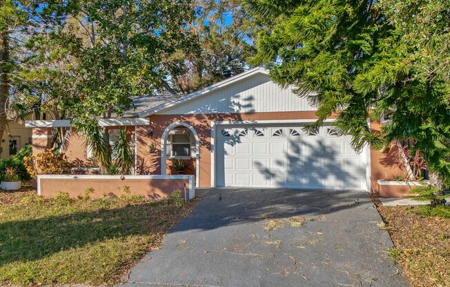 Fantastic 3br/2ba/2car garage in Mill Pond Subdivision, Largo, FL!