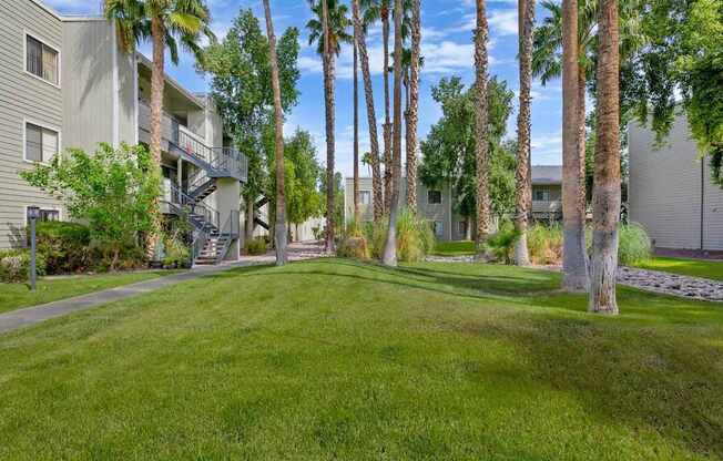 A grassy area with palm trees and apartment buildings in the background.