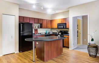 fully functioning kitchen at Uptown Lake Apartments, Minnesota, 55408