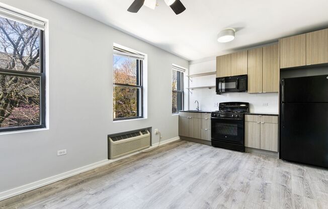 Studio, 1 bath, 242 sqft, $1,550, Unit 403