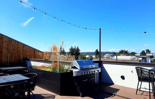 Studio, 1 bath, 224 sqft, $1,240, Unit 404