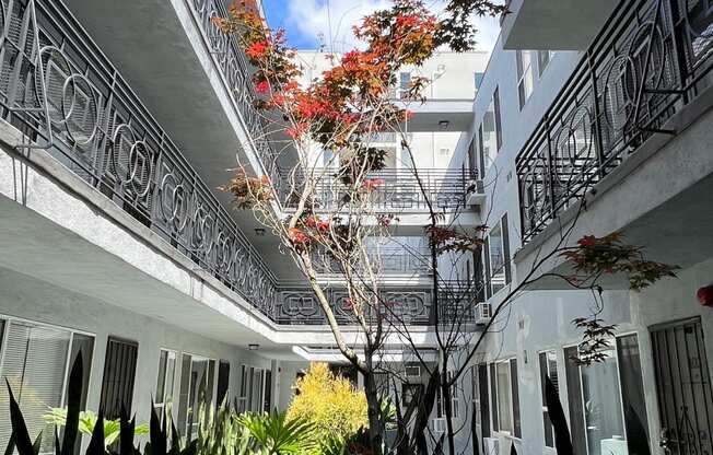 Central courtyard at The Carlton in Hollywood, California.