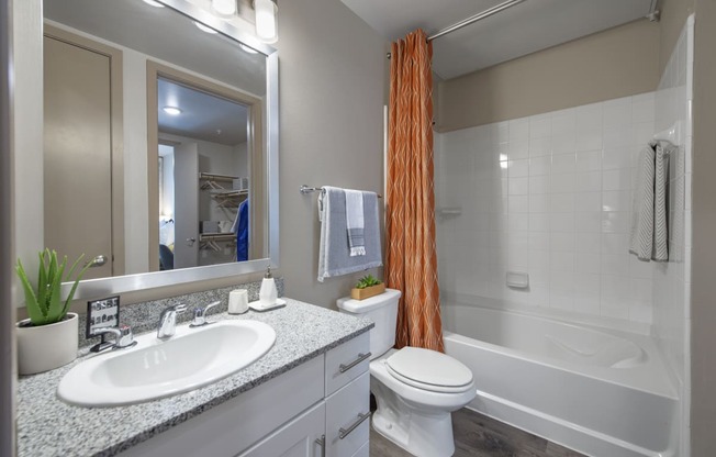 a bathroom with a shower toilet and sink and a mirror