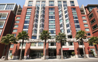 1 Bed, 1 Bath + Storage - South Beach/SOMA Condo Pet OK