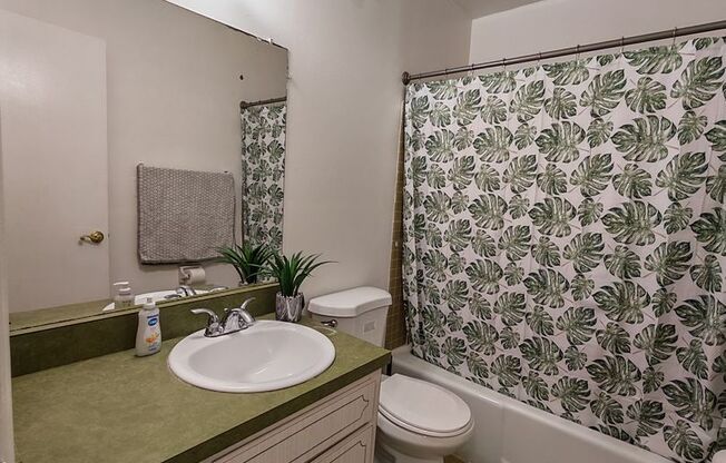2 beds, 1 bath, $1,675