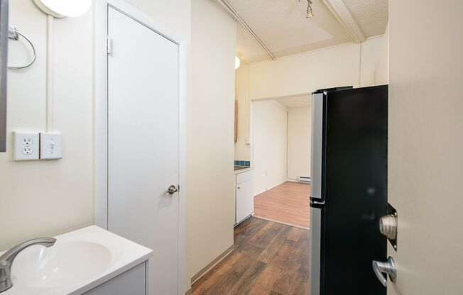 Studio, 1 bath, 334 sqft, $1,250, Unit 407