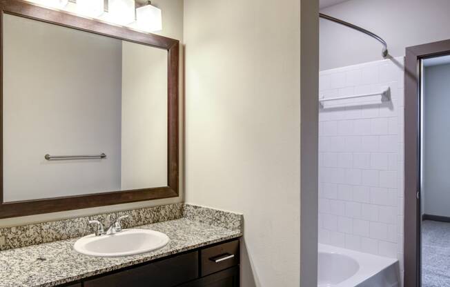 a bathroom with a sink and a mirror and a shower