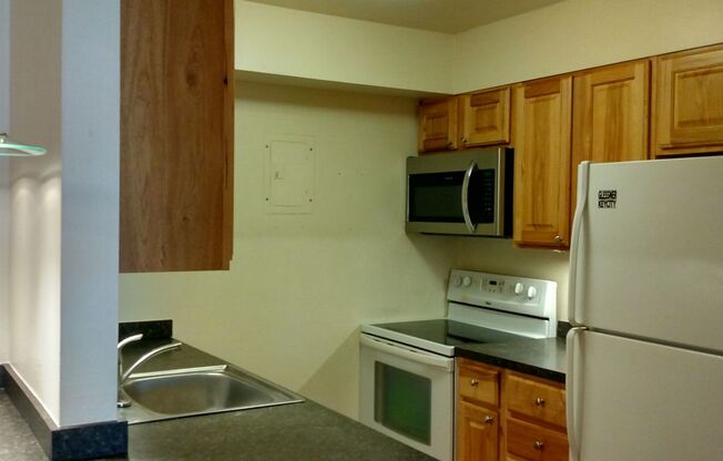 1 bed, 1 bath, $1,750, Unit Unit 156