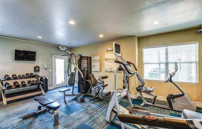 A gym with a row of treadmilers and a row of exercise bikes.