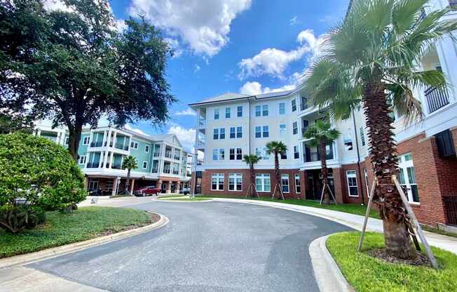 A palm-tree lined street leading to the Flats at Tioga Town Center's 4-story apartment buildings with well-maintained grounds, grass, and bushes.