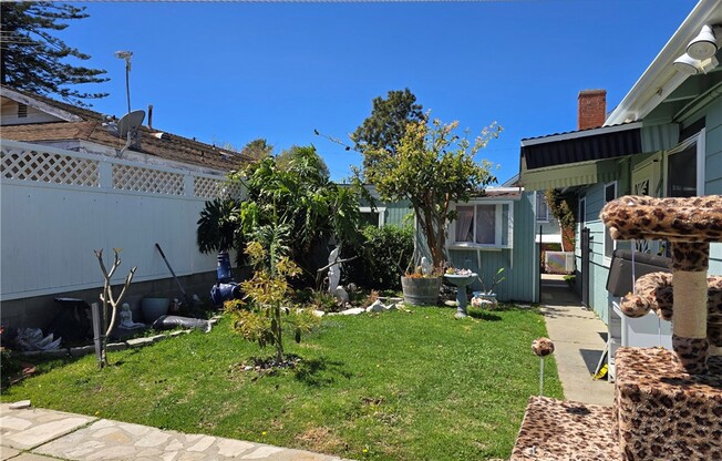 25916 MARKET
