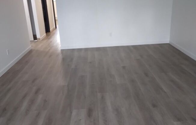 Forest View Apartments