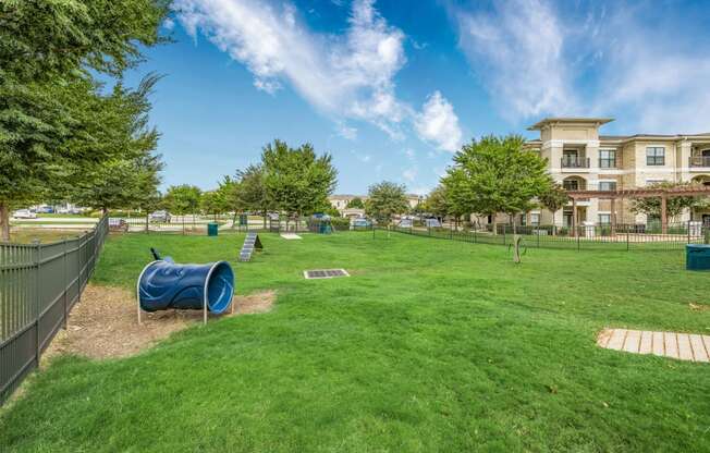 the preserve at ballantyne commons dog park