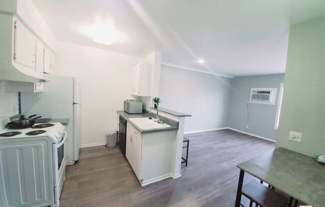 Studio, 1 bath, 444 sqft, $1,800, Unit 263