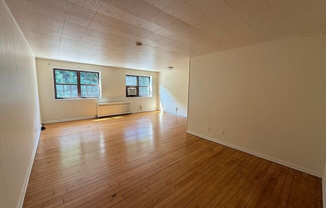 Studio, 1 bath, 487 sqft, $1,250, Unit Fifth 306