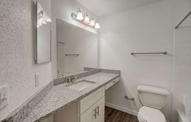 a bathroom with a sink and a toilet and a mirror