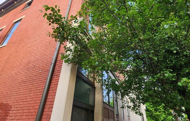 Light and Airy 2 bedroom 1 bathroom apartment with washer/dryer-hook ups in unit!