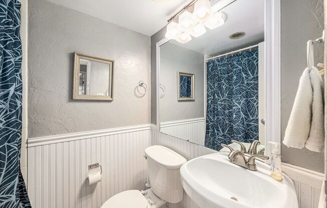 1 bed, 1 bath, $1,600, Unit # 407
