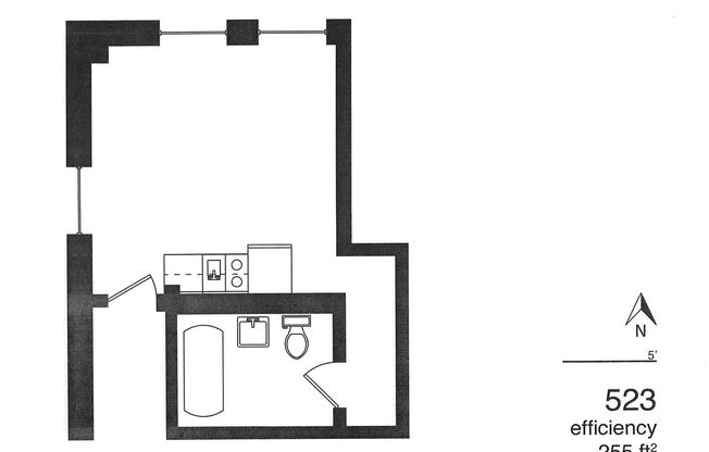 Studio, 1 bath, 245 sqft, $470, Unit 523