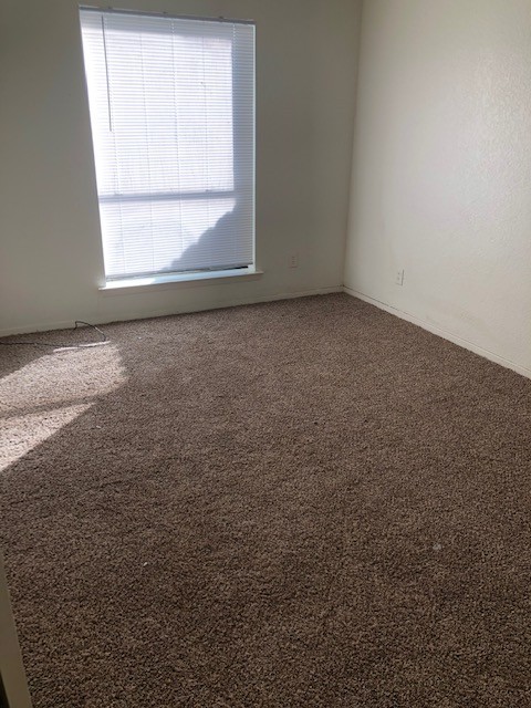 1505 N Locust #7