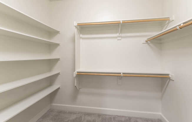 Walk-in Closet