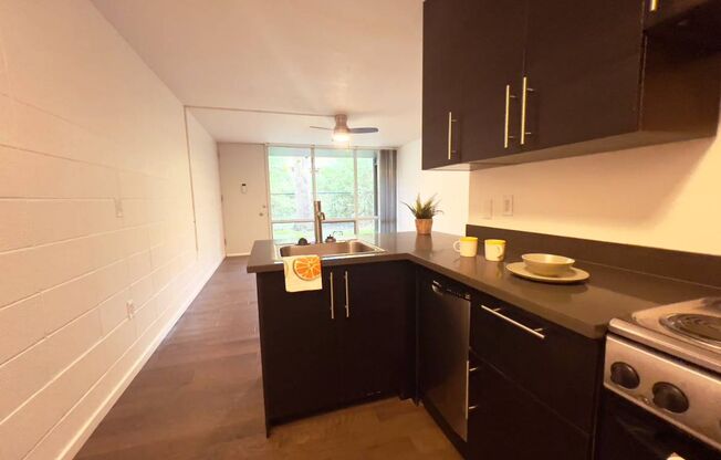 1 bed, 1 bath, 518 sqft, $1,315, Unit 202