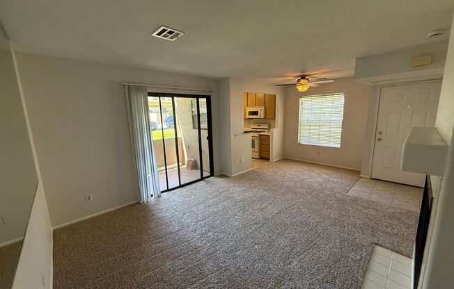 1 Bed, 1 Bath Condo - Fireplace + Private Patio w/ Washer/Dryer!