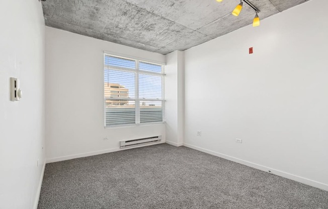 A room with a window and a grey carpet.