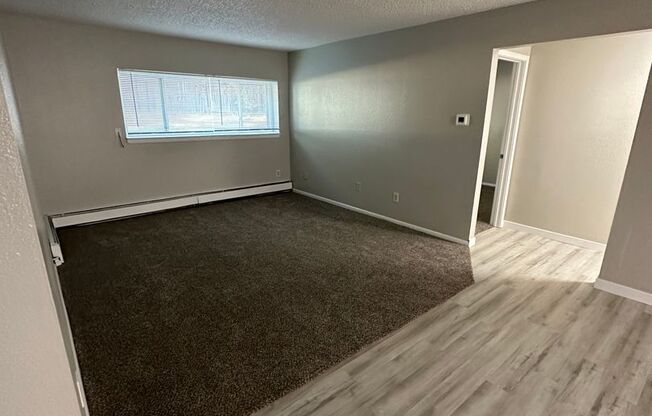 116 Camelot Ct