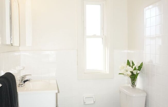 1 bed, 1 bath, 600 sqft, $1,149, Unit A12