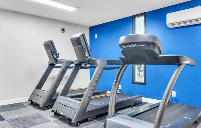 A row of treadmills are lined up in a gym.