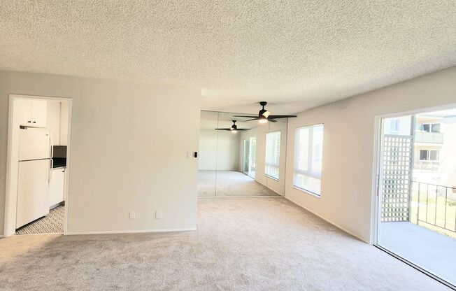 Updated extra large one bedroom at Woodlake