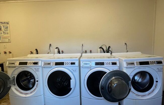 1 bed, 1 bath, $1,095