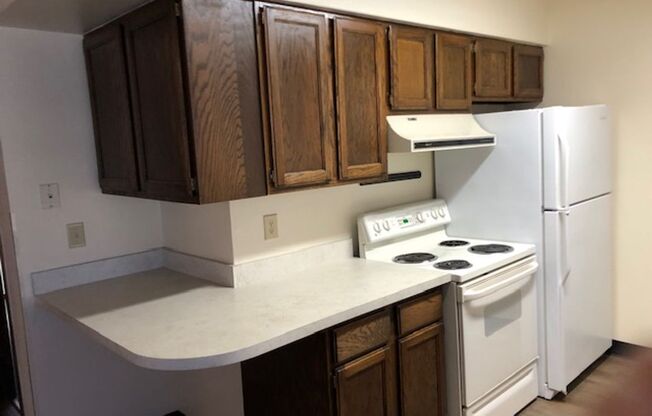 1 bed, 1 bath, $1,450, Unit Unit 01