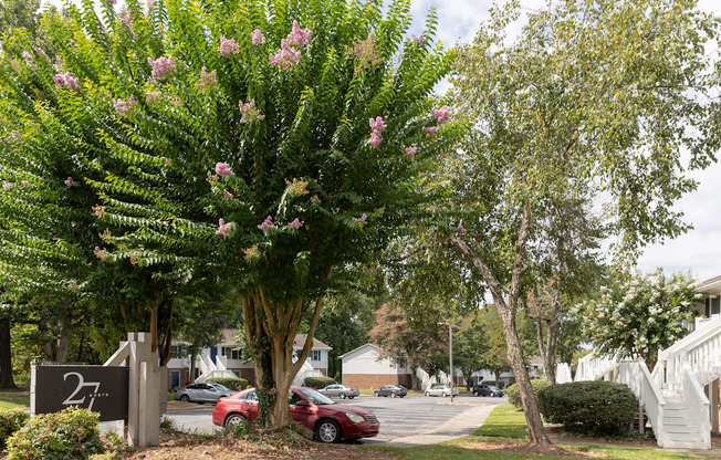 A tree with pink flowers is in the foreground of a residential area.