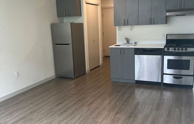 Studio, 1 bath, 313 sqft, $1,095, Unit 403 MFTE
