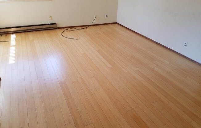Dim - 425 Walnut St.