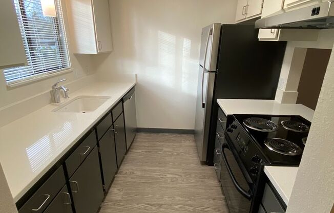 1 bed, 1 bath, 700 sqft, $1,440, Unit 0081