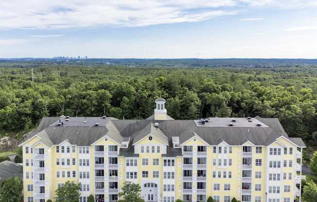 A large white building with a clock tower sits in the middle of a green forest.