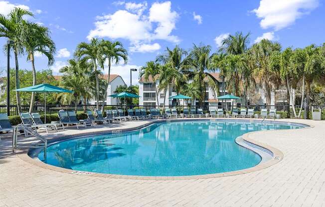 A large outdoor swimming pool surrounded by palm trees.