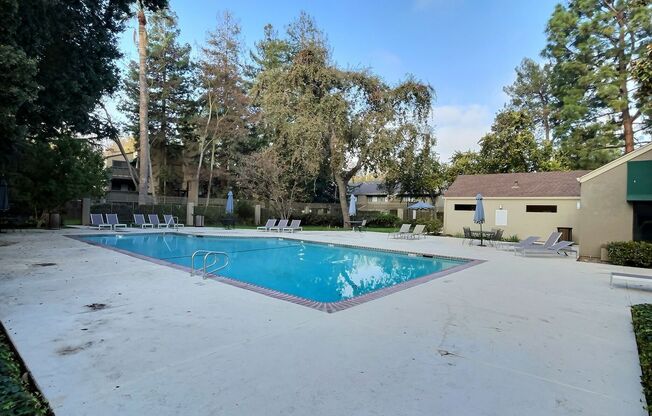 1 Bed/1 Bath Updated Condo with Great Amenities in Blossom Valley