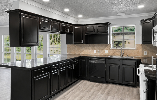 Freshly Renovated Home with HUGE backyard!