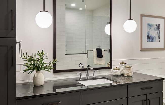 A bathroom with a large mirror, a potted plant, and a sink.
