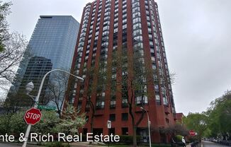 901 S. Plymouth Court Unit 1304