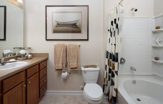 Bathroom area at Abberly Chase Apartment Homes, South Carolina