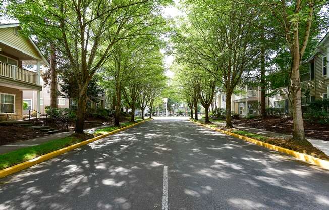 a street with trees and houses on either side of it