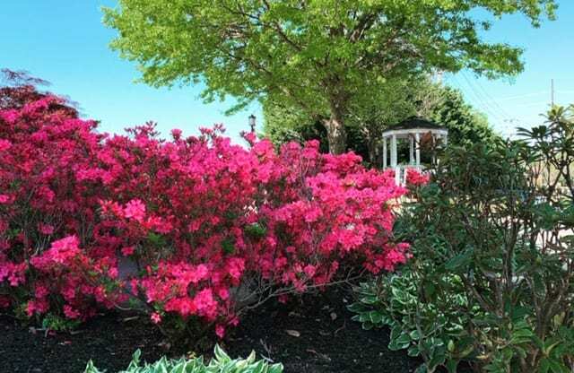 Mountain View gazebo.