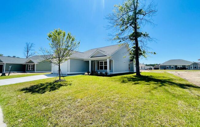 3bd/2ba home w/ high end finishes right in the heart of Conway!