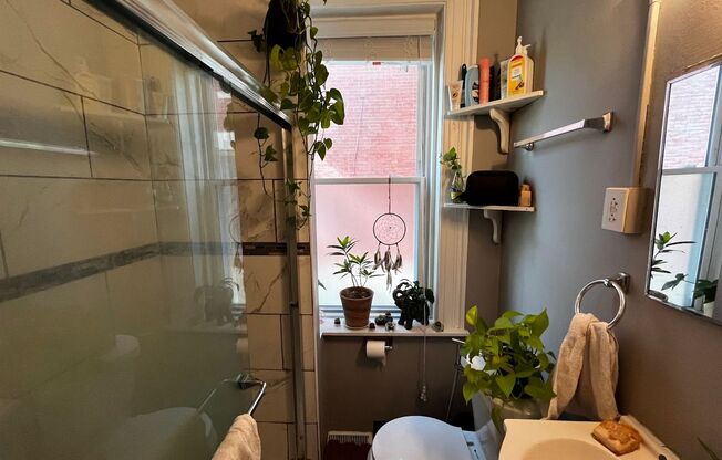 Studio, 1 bath, 400 sqft, $885, Unit Unit 1