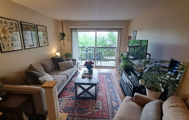 1 bed, 1 bath, 550 sqft, $1,095, Unit 305
